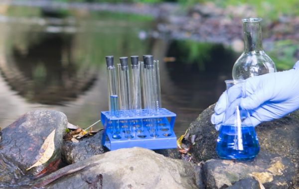 Photo; test tubes on a stone by a body of water