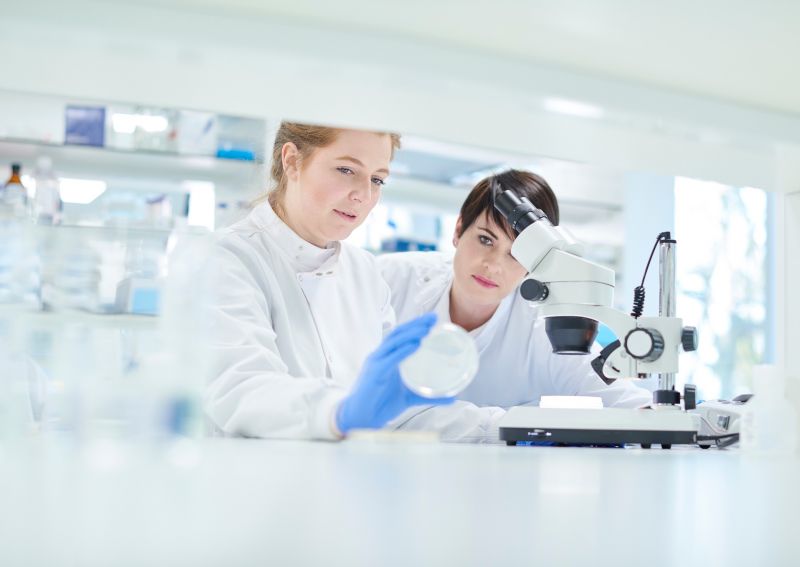 Foto; zwei Laborantinnnen in einem medizinischen Labor mit Mikroskop und Petrischale